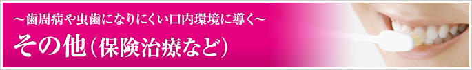 その他（保険治療など）～歯周病や虫歯になりにくい口内環境に導く～